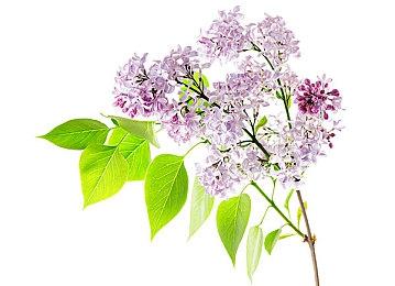 观察类恐怖游戏《轮班87》Steam页面 支持中文